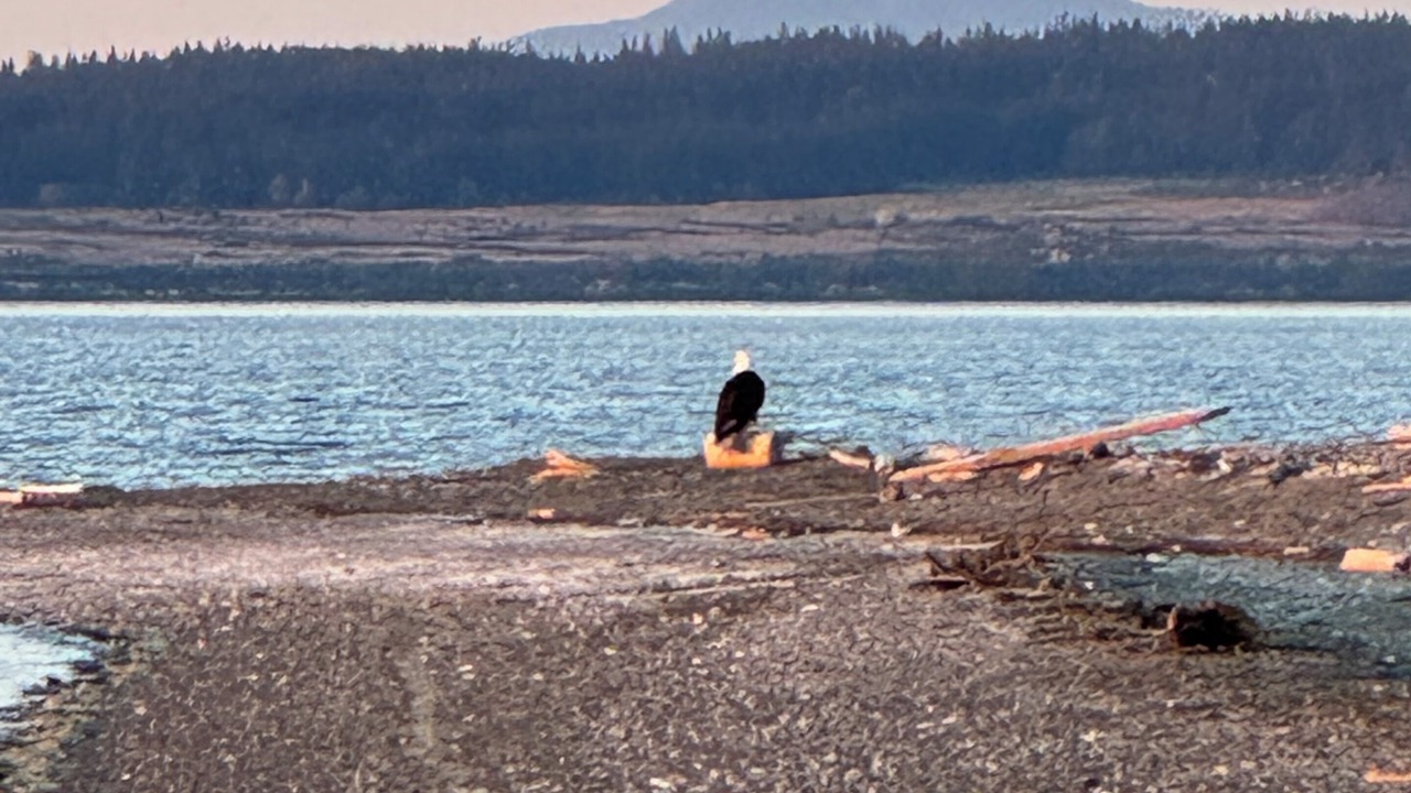 Photo of Others in Coupeville