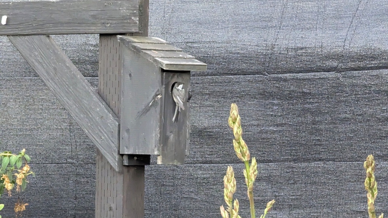 Photo of Outdoor in Puyallup