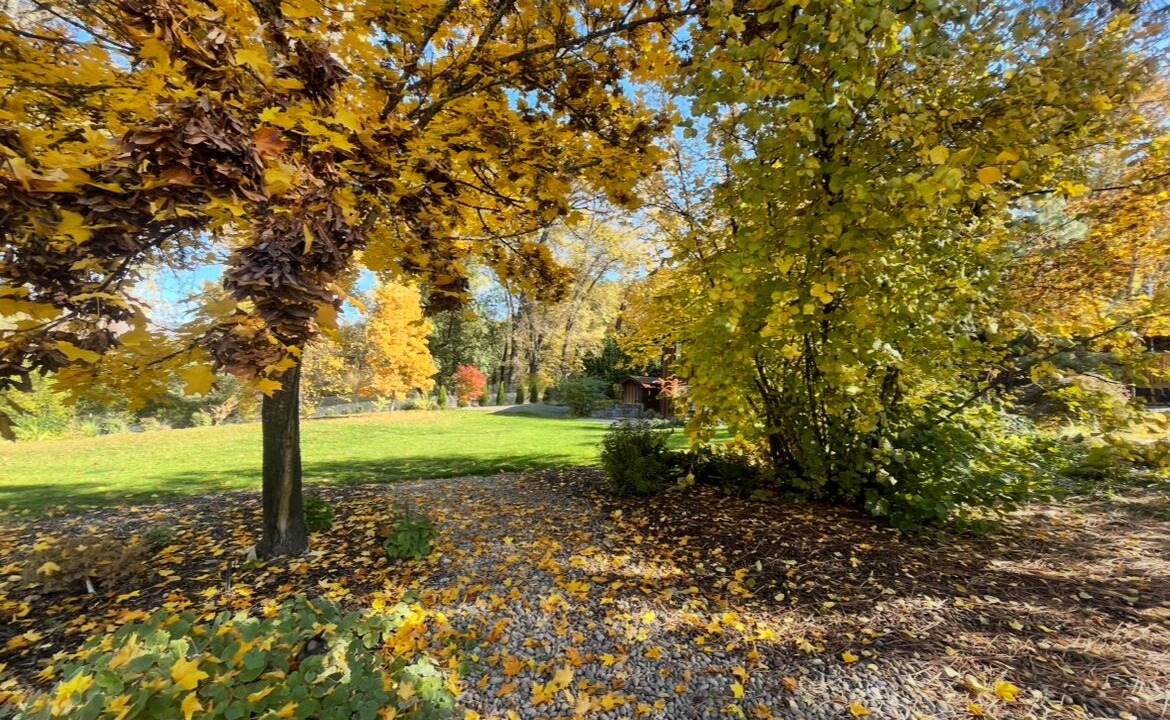 Photo of Outdoor in Murphy