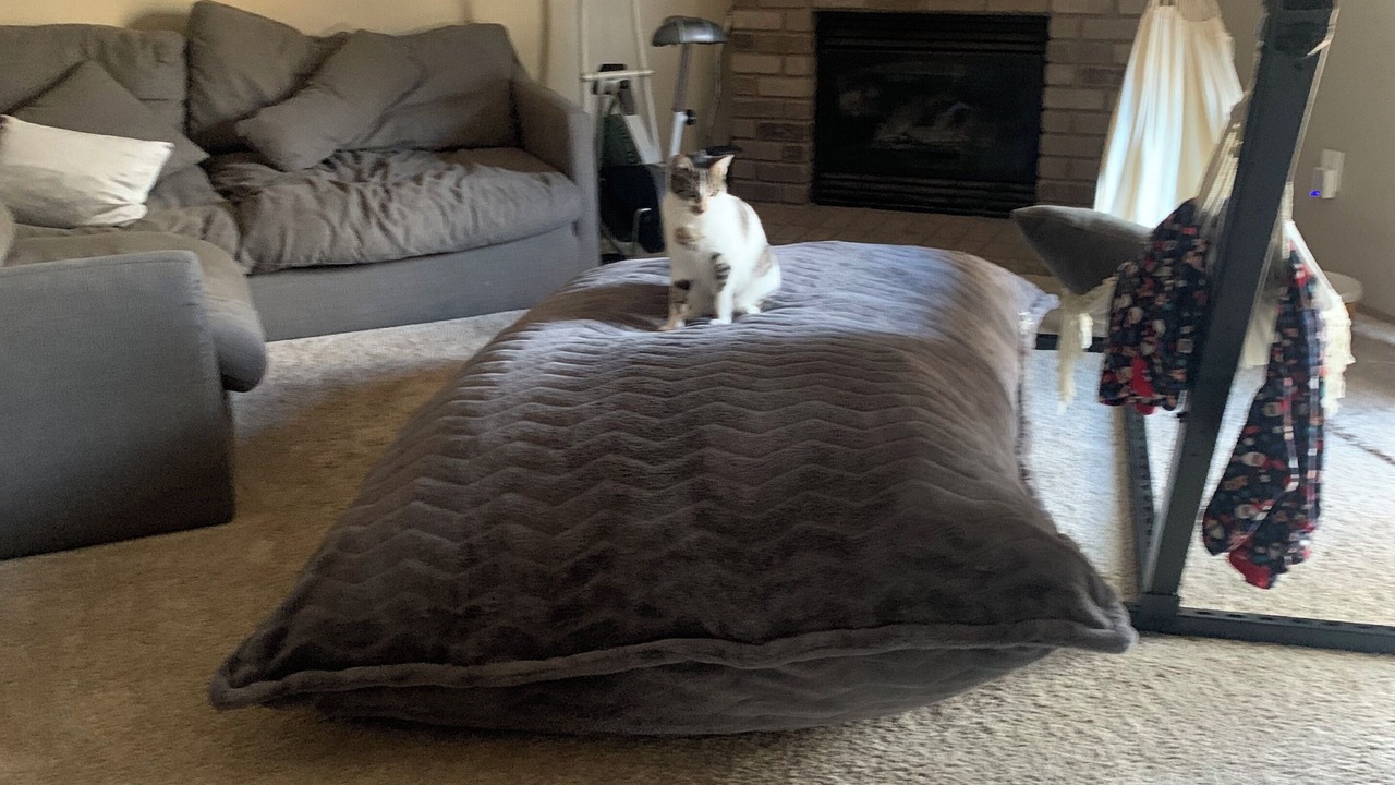 Photo of Livingroom in South Hill