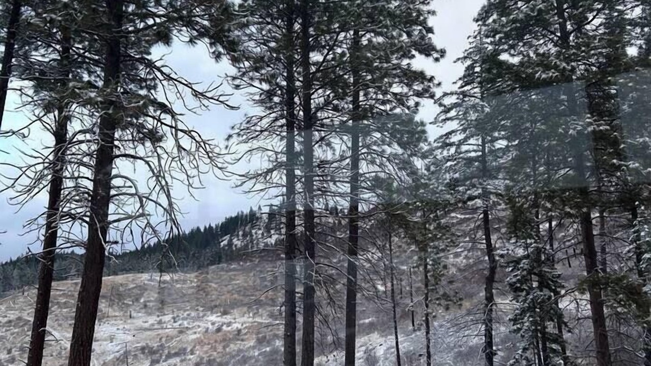 Photo of Others in Cle Elum