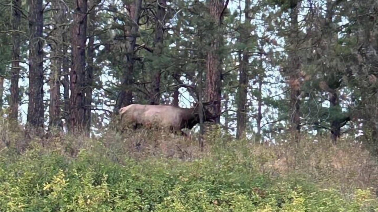 Photo of Others in Cle Elum