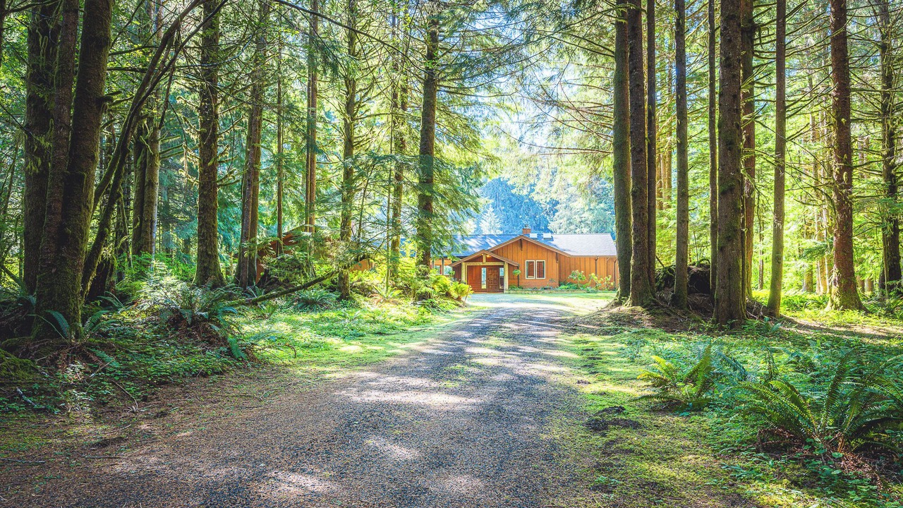 Photo of Outdoor in Beaver