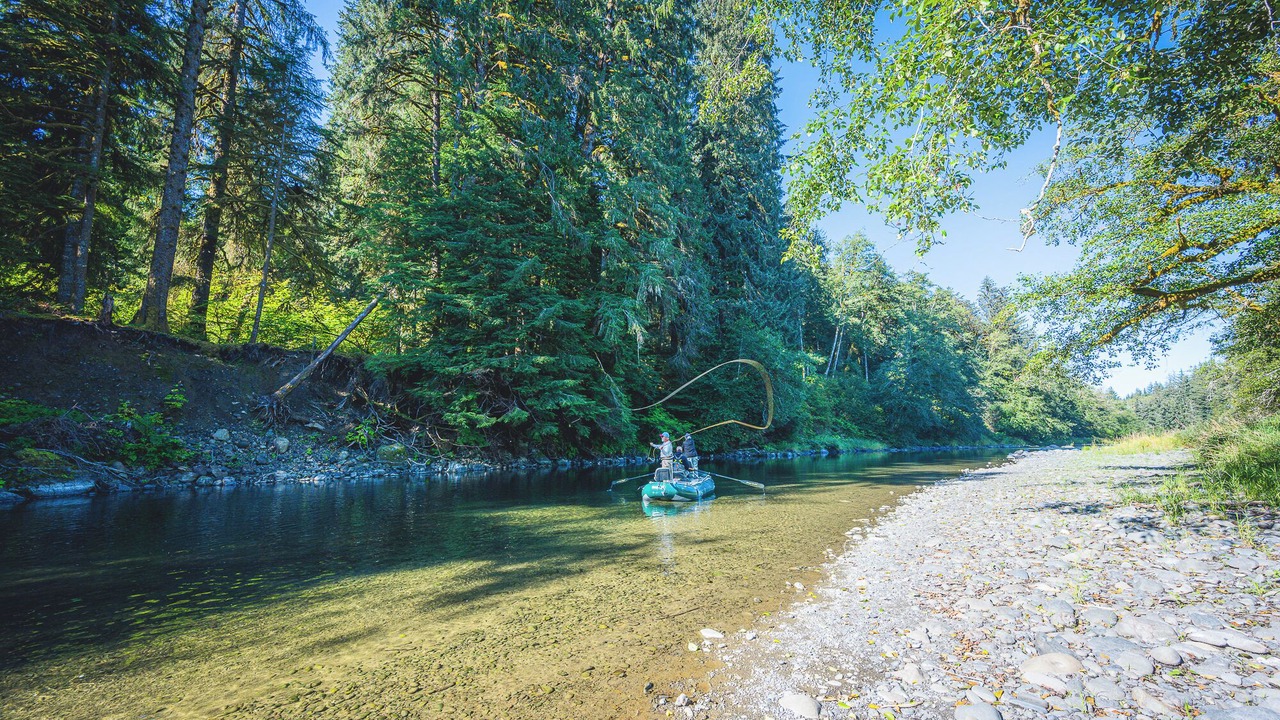Photo of Others in Beaver