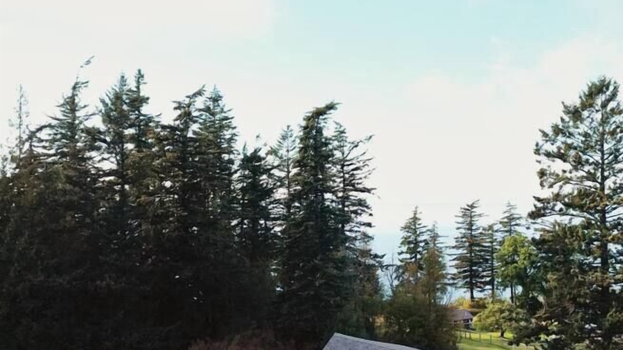 Photo of Outdoor in Lummi Island