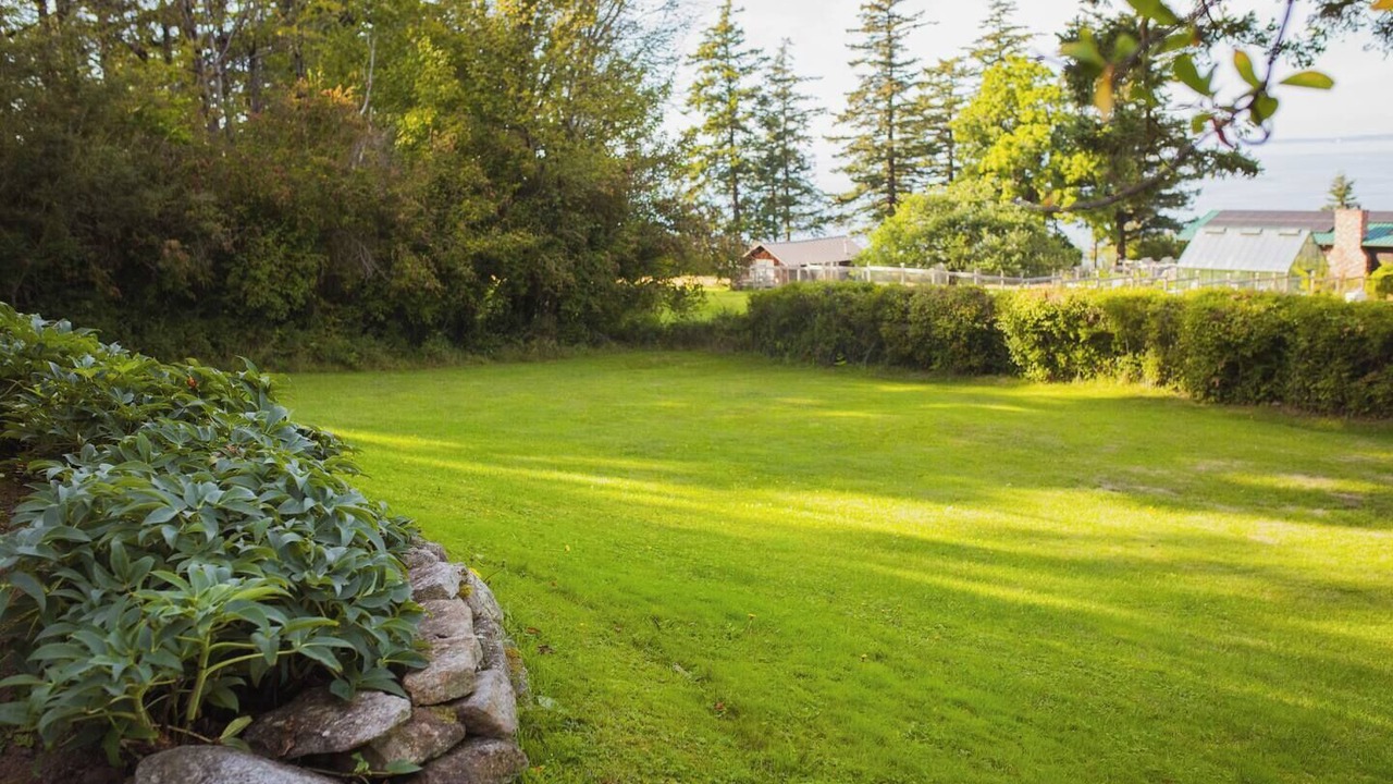 Photo of Outdoor in Lummi Island