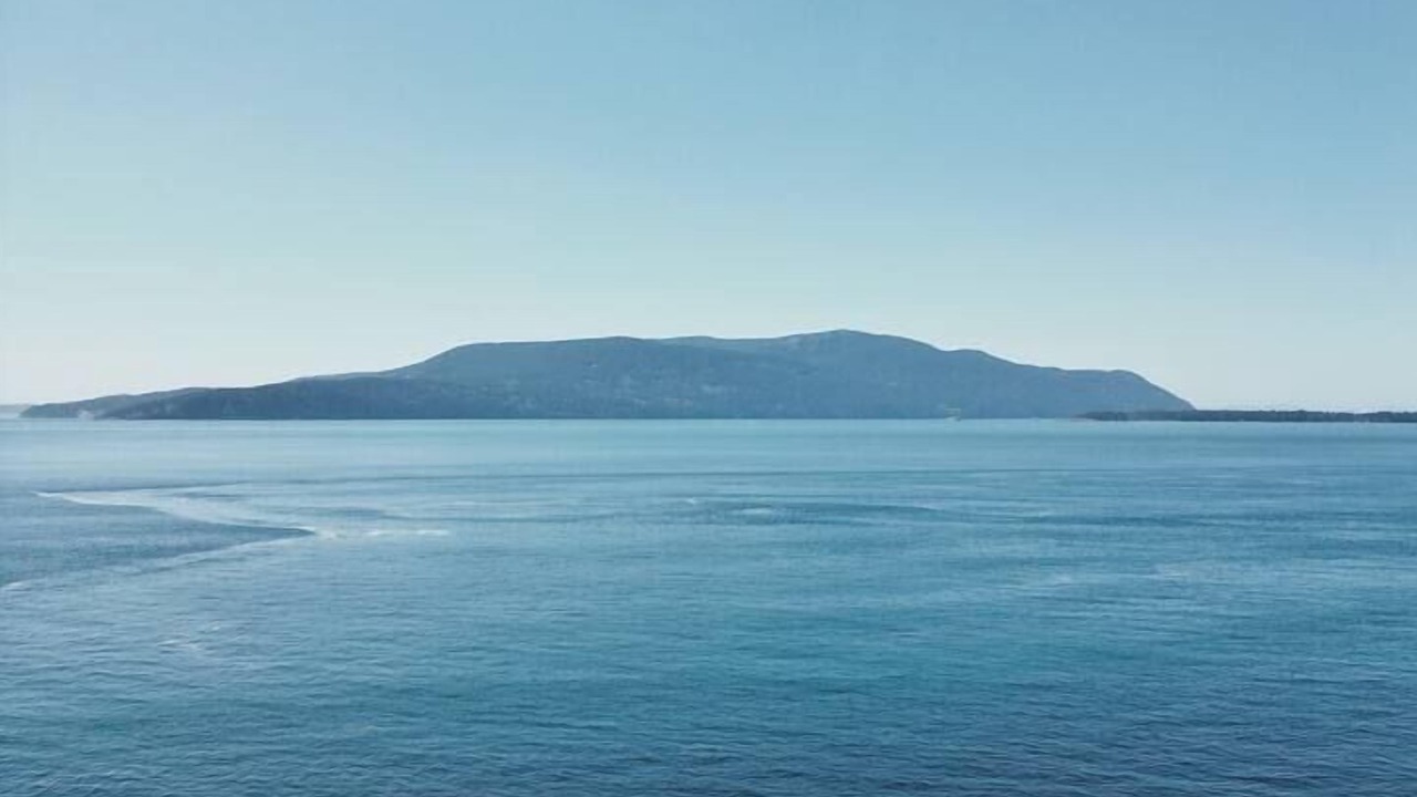 Photo of Others in Lummi Island