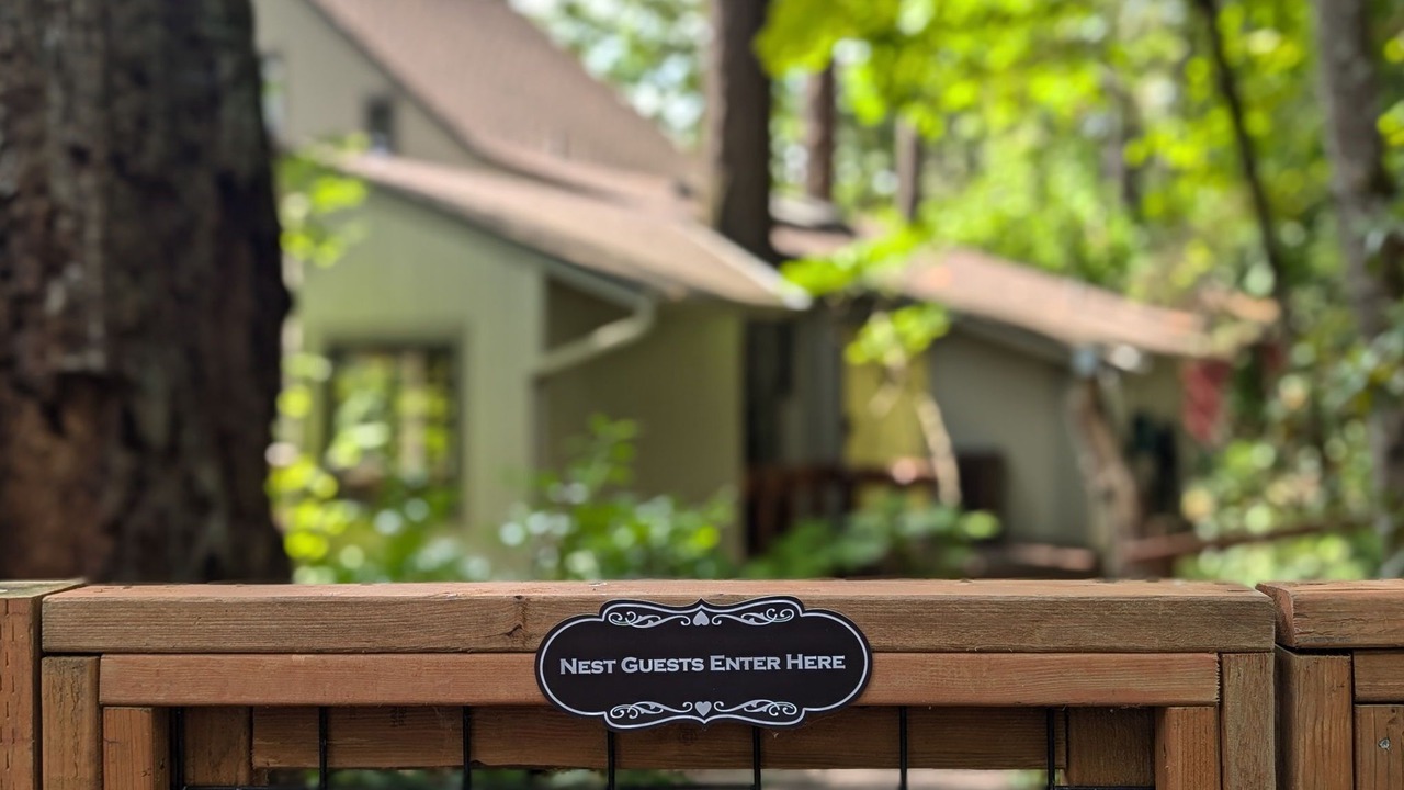 Photo of Outdoor in Cedar Hills