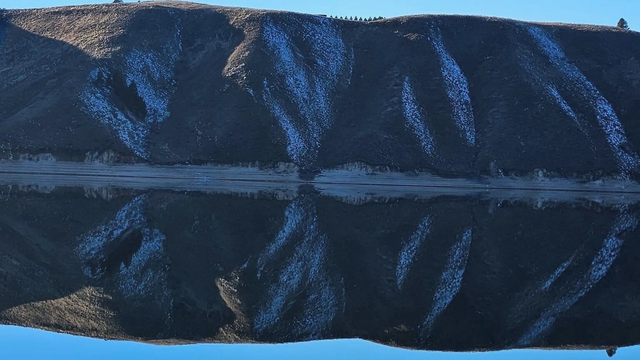 Photo of Others in Pine