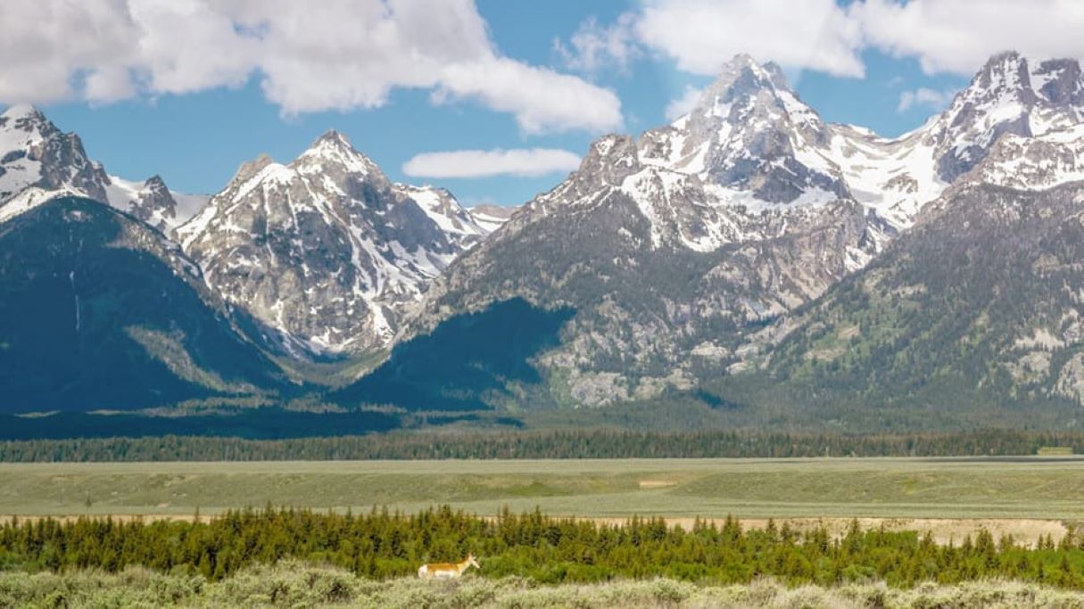 Photo of Others in Teton Village