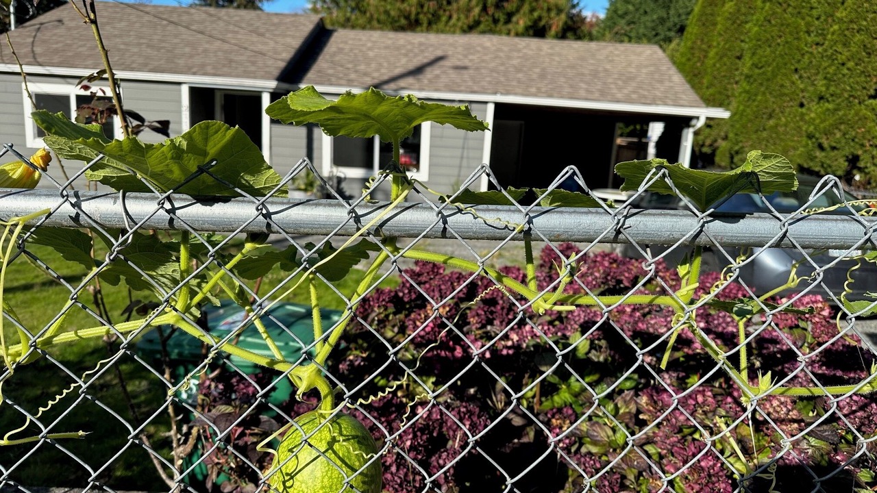 Photo of Outdoor in Shoreline