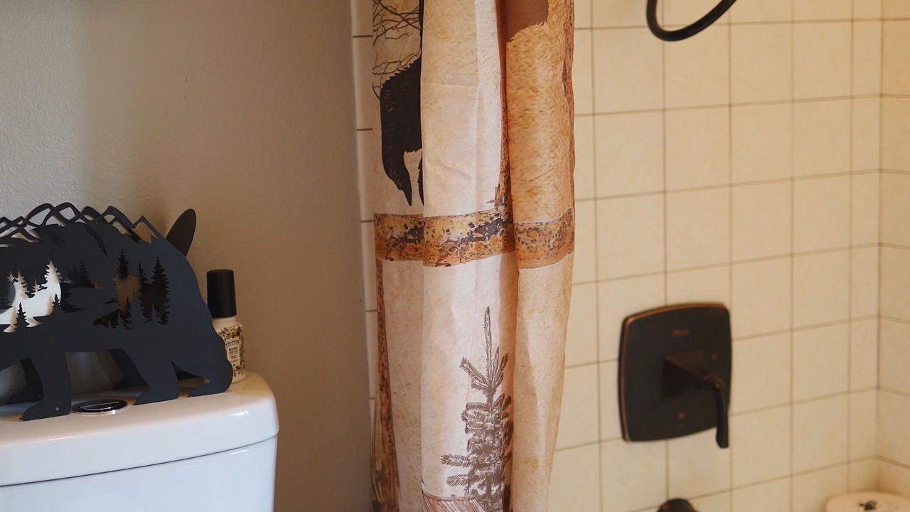 Photo of Bathroom in Colville