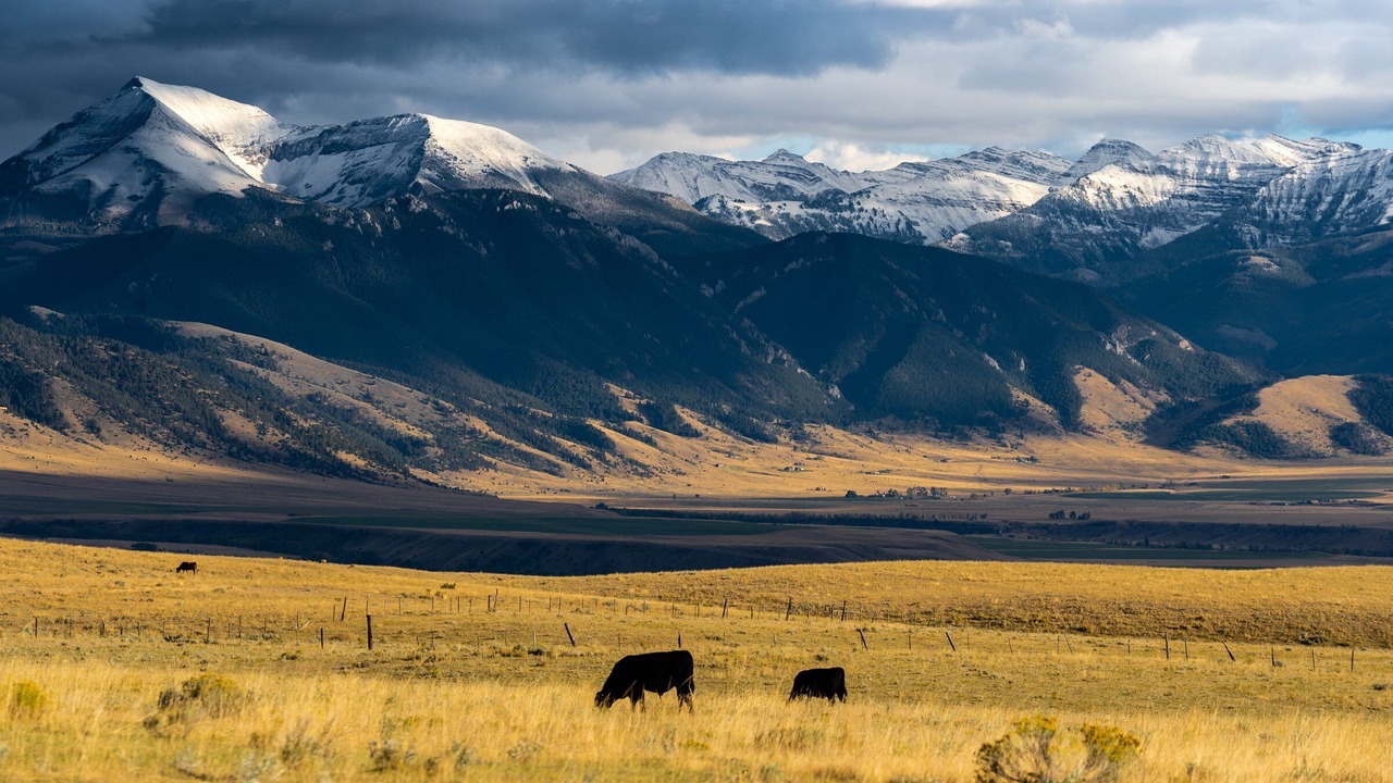 Photo of Others in West Yellowstone