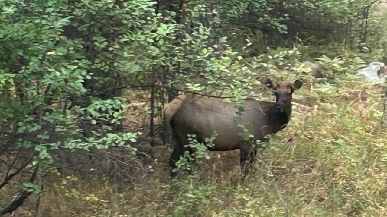 Photo of Others in Garden Valley