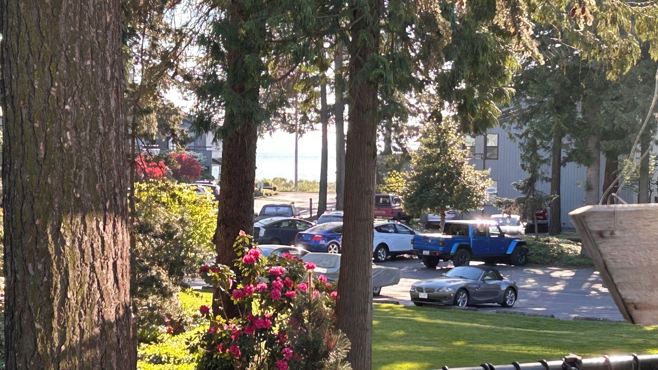 Photo of Outdoor in Birch Bay