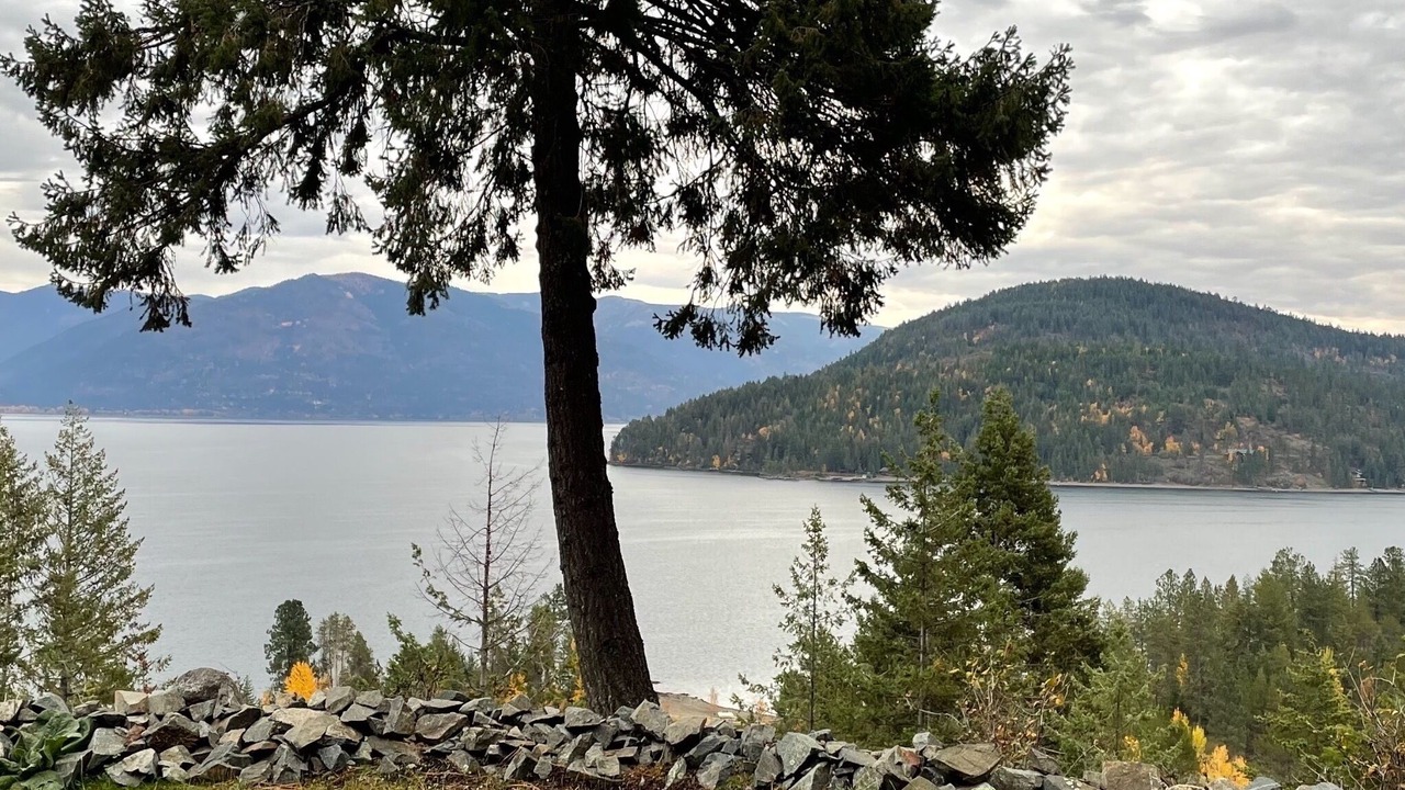 Photo of Others in Sandpoint