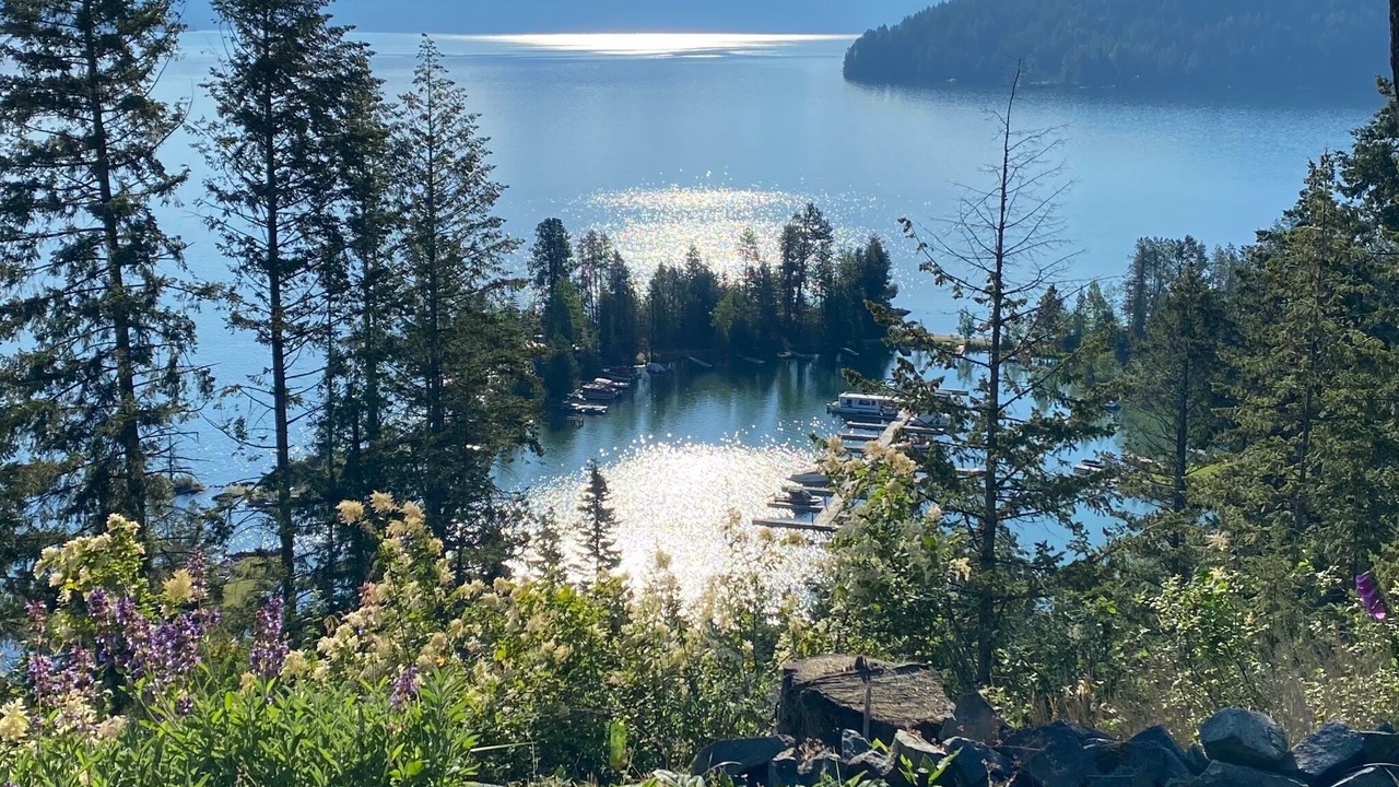 Photo of Others in Sandpoint