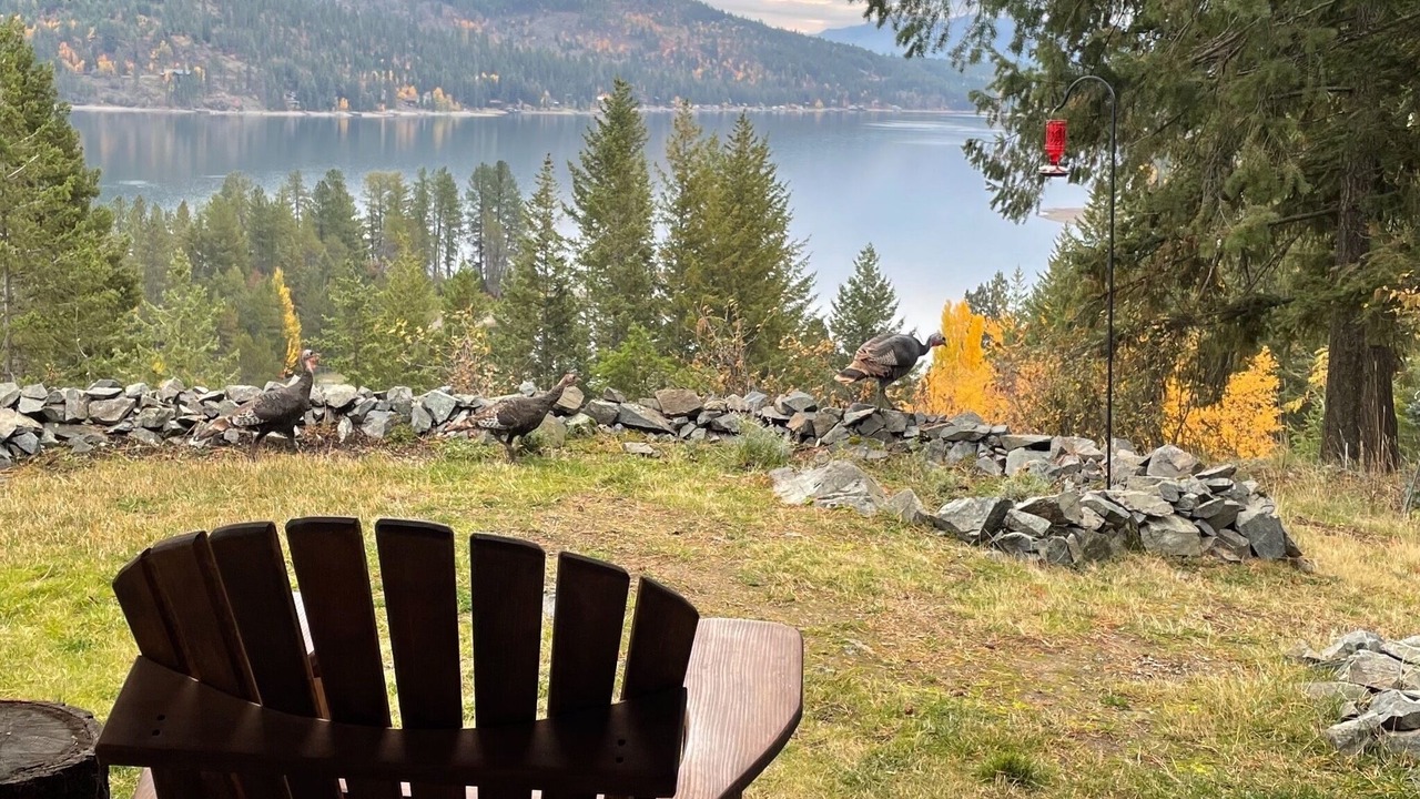 Photo of Outdoor in Sandpoint
