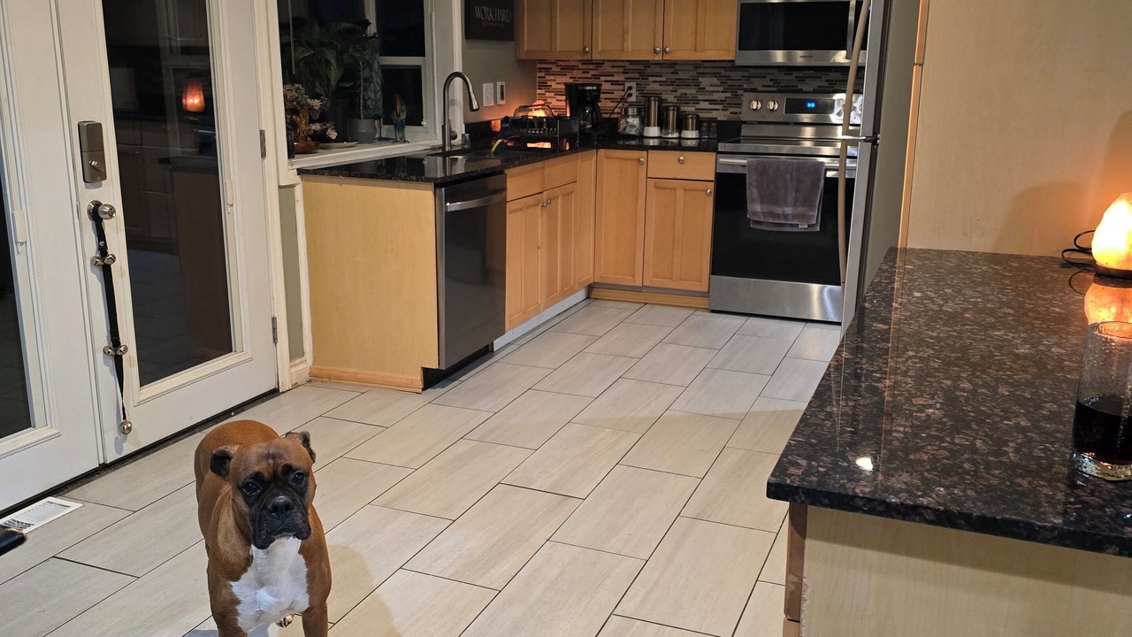 Photo of Kitchen in Kingsgate