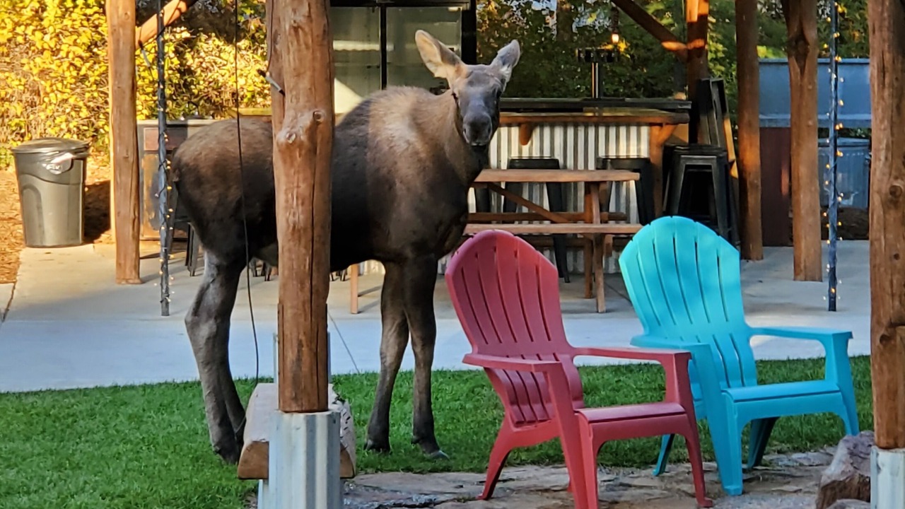 Photo of Outdoor in Bonner County