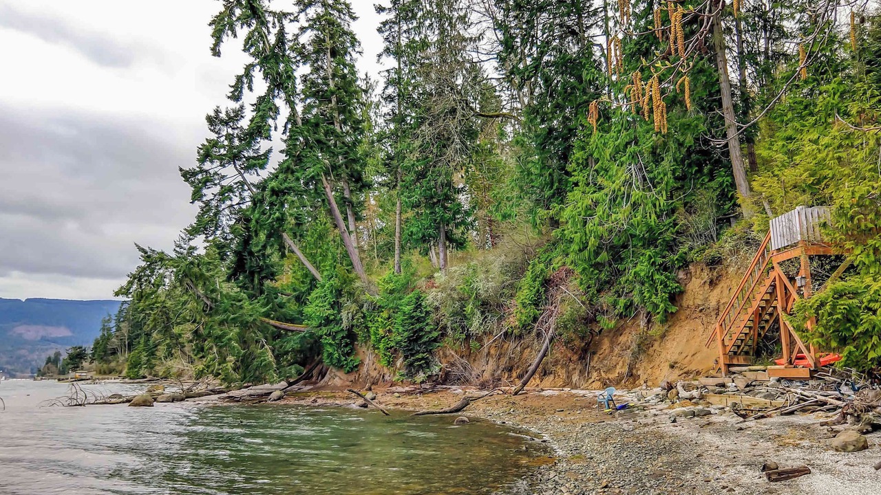 Photo of Others in Sequim