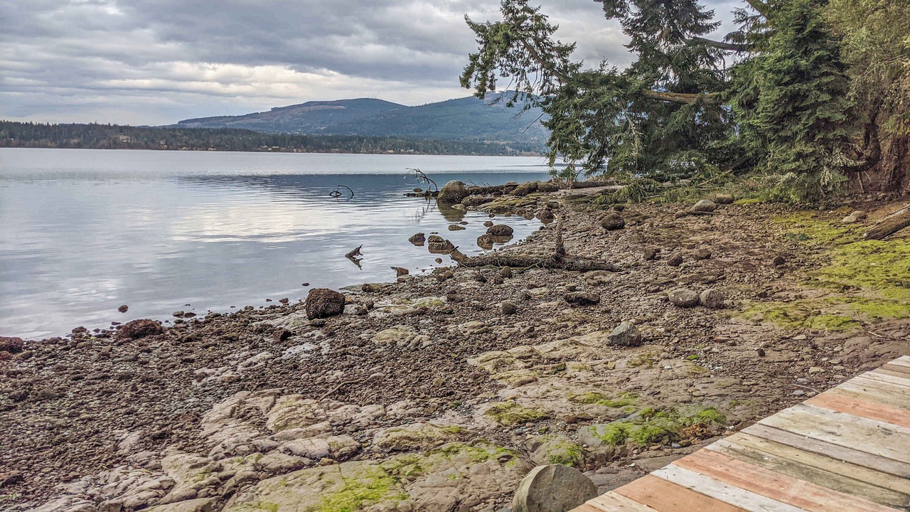 Photo of Others in Sequim