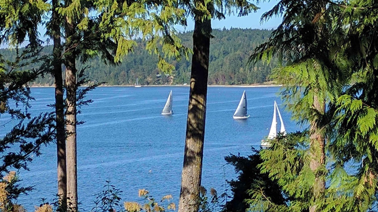 Photo of Others in Sequim