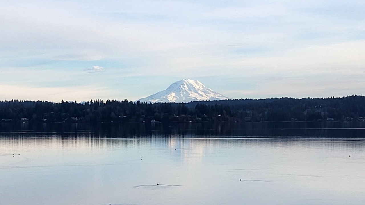 Photo of Others in Gig Harbor