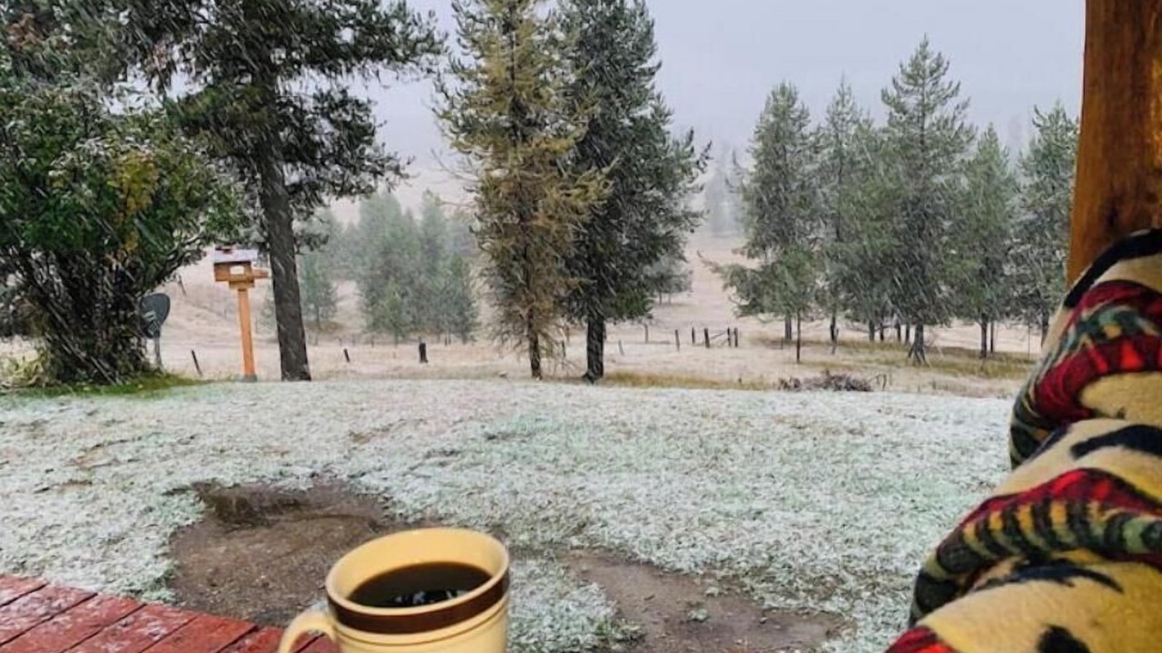 Photo of Outdoor in Dixie