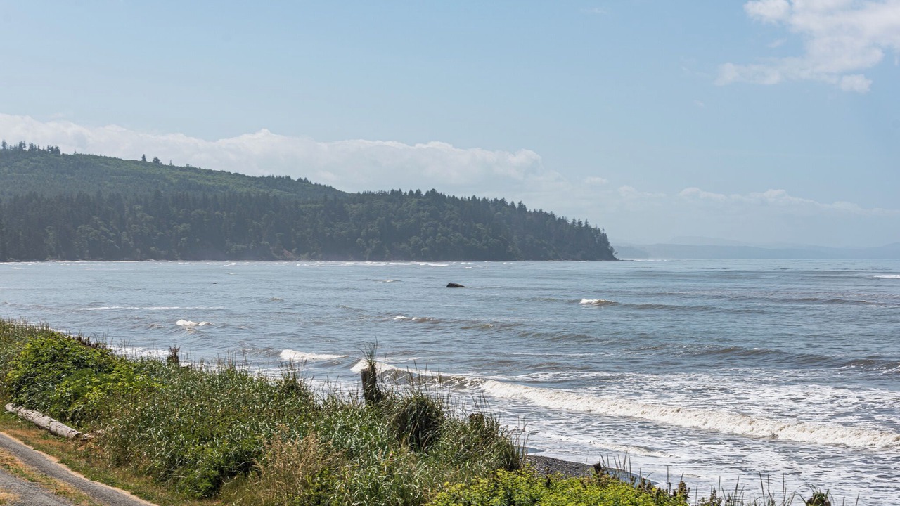 Photo of Others in Port Angeles