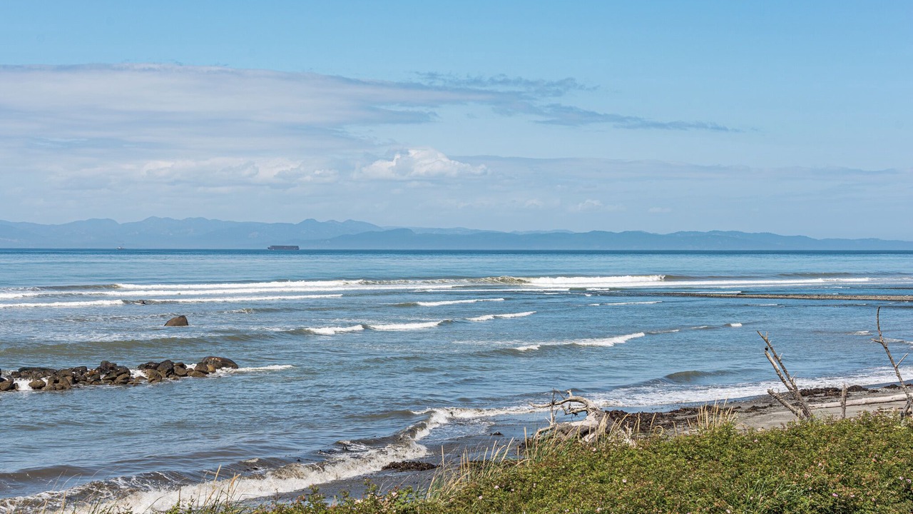 Photo of Others in Port Angeles