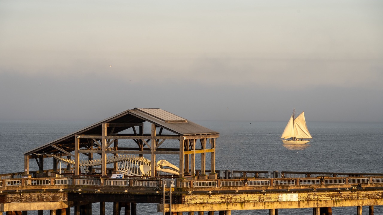 Photo of Outdoor in Port Townsend
