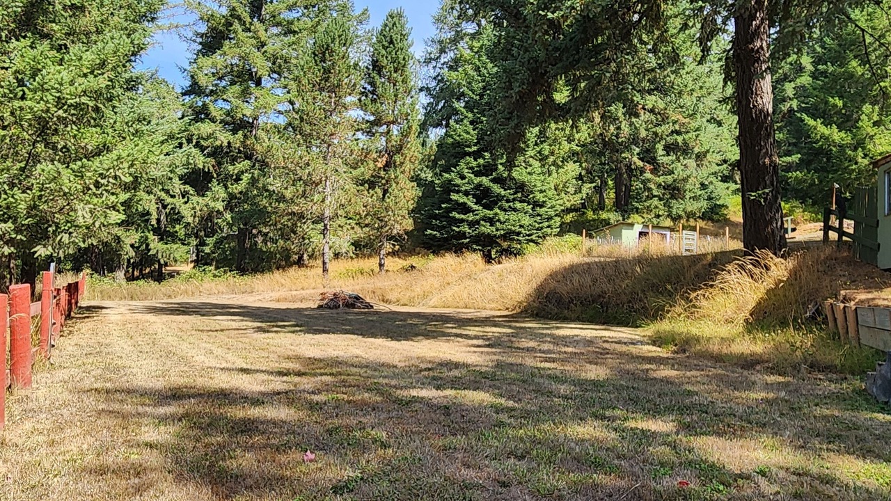 Photo of Outdoor in Umpqua