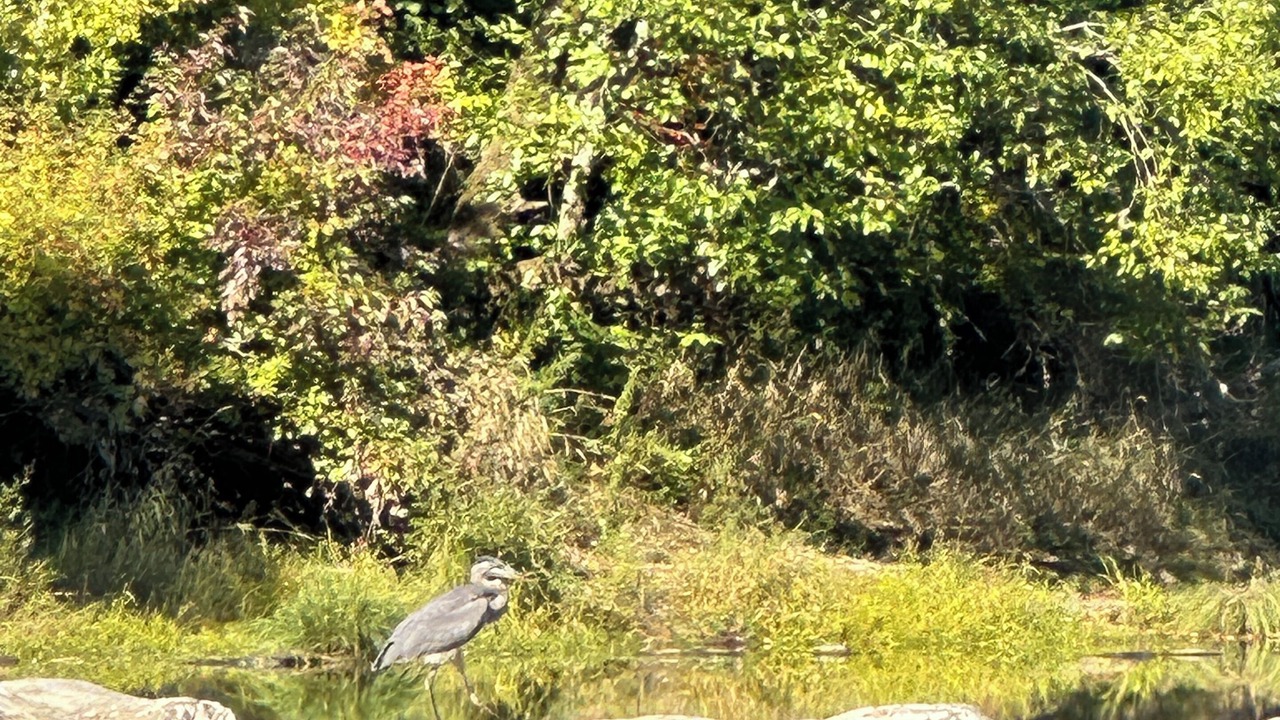 Photo of Others in Umpqua