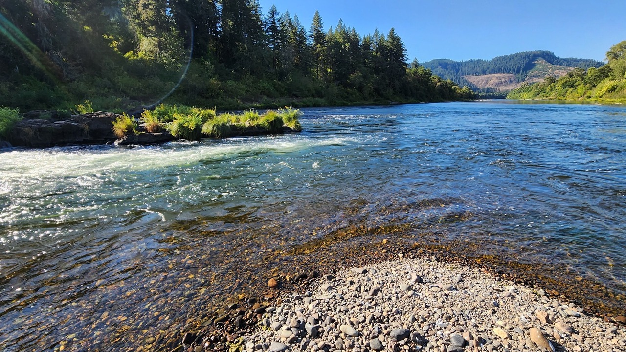 Photo of Others in Umpqua
