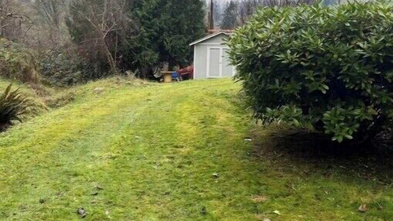 Photo of Outdoor in Edgewood
