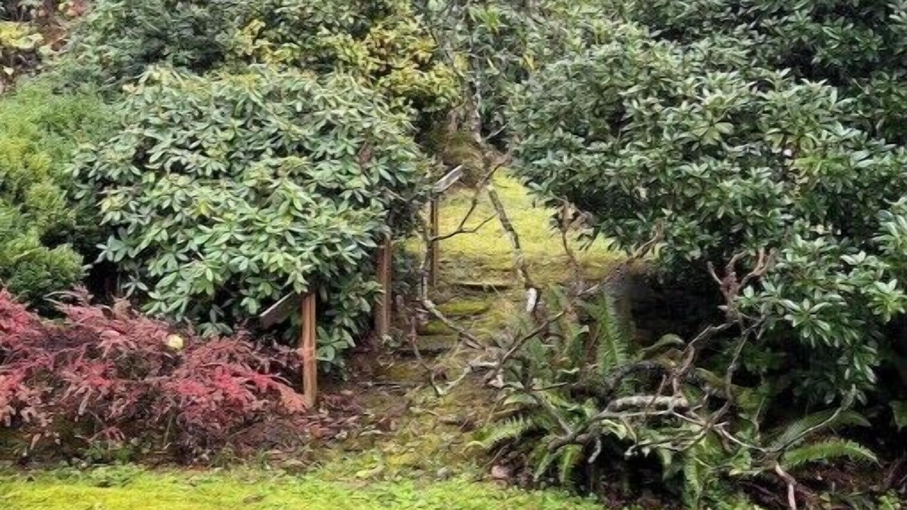 Photo of Outdoor in Edgewood