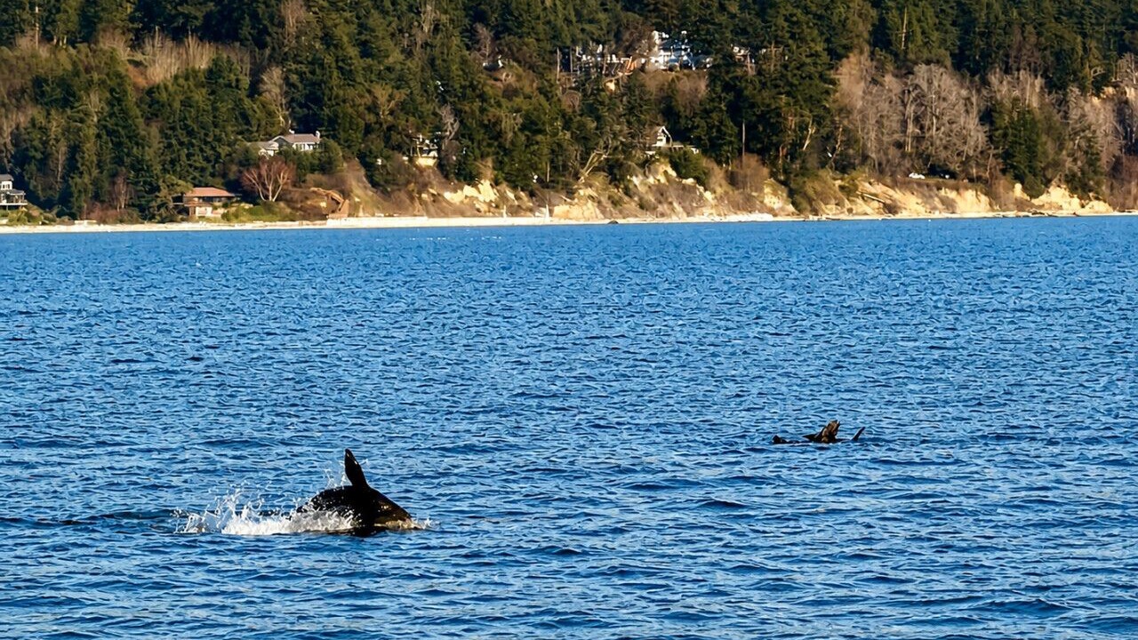 Photo of Others in Greenbank