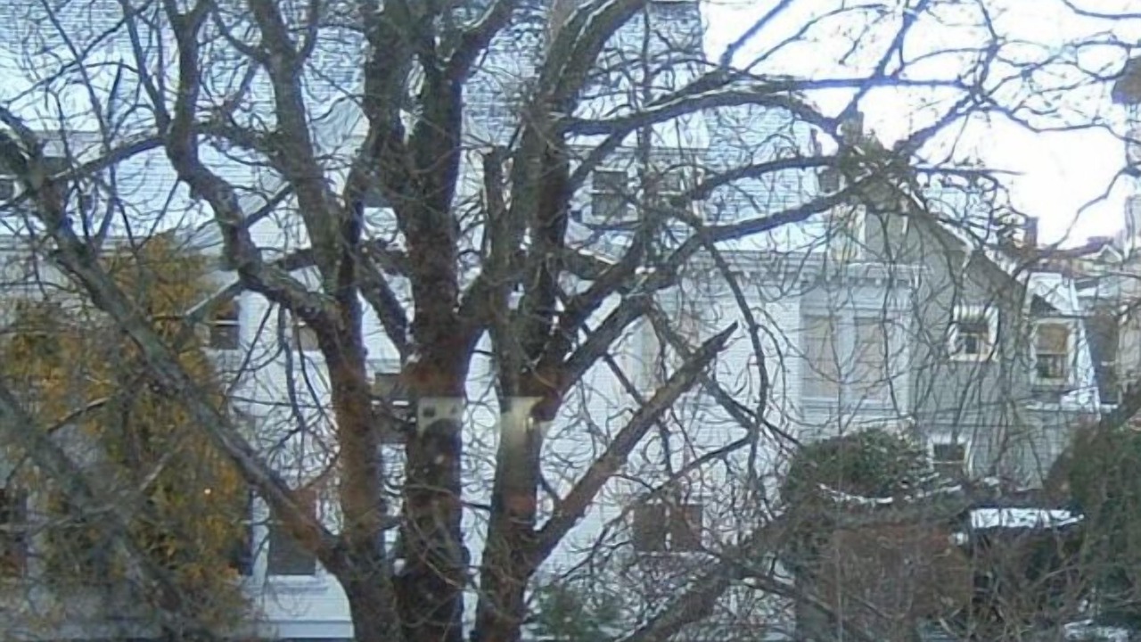 Photo of Others in North End