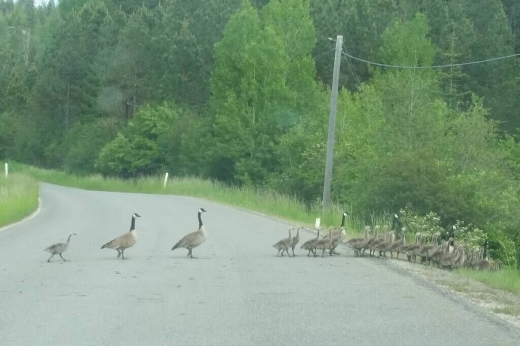 Photo of Others in Sandpoint