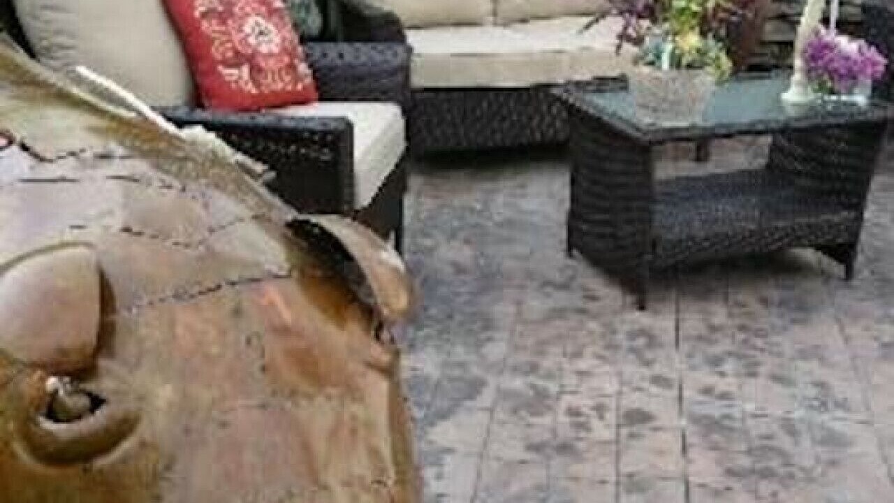Photo of Patio Balcony in Baker City