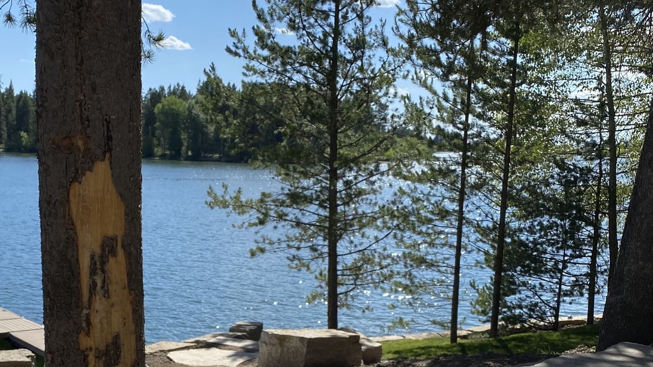 Photo of Others in Island Park