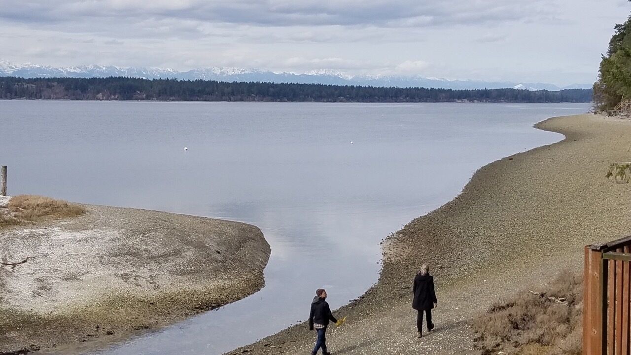 Photo of Others in Lakebay