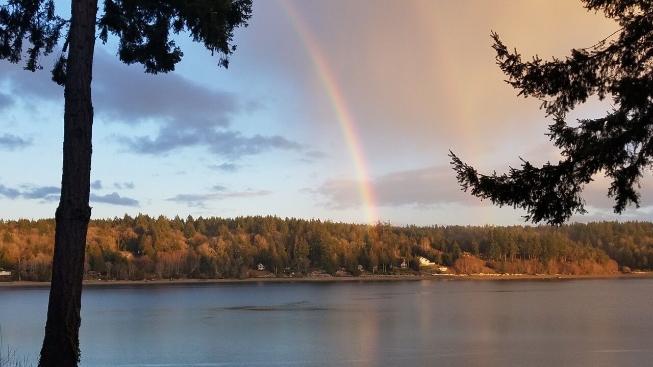 Photo of Others in Lakebay