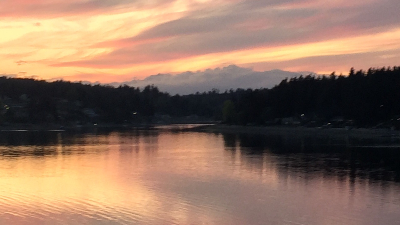 Photo of Others in Gig Harbor