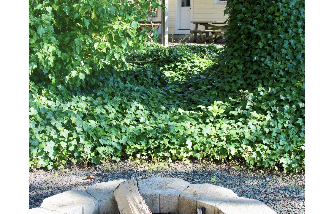 Photo of Outdoor in Gig Harbor