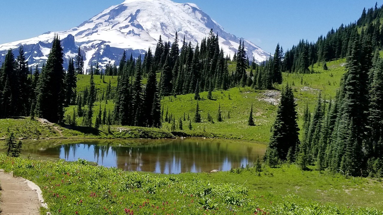 Photo of Others in Enumclaw