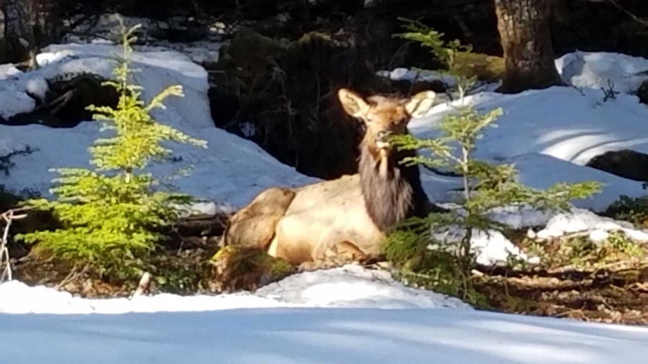 Photo of Others in Enumclaw