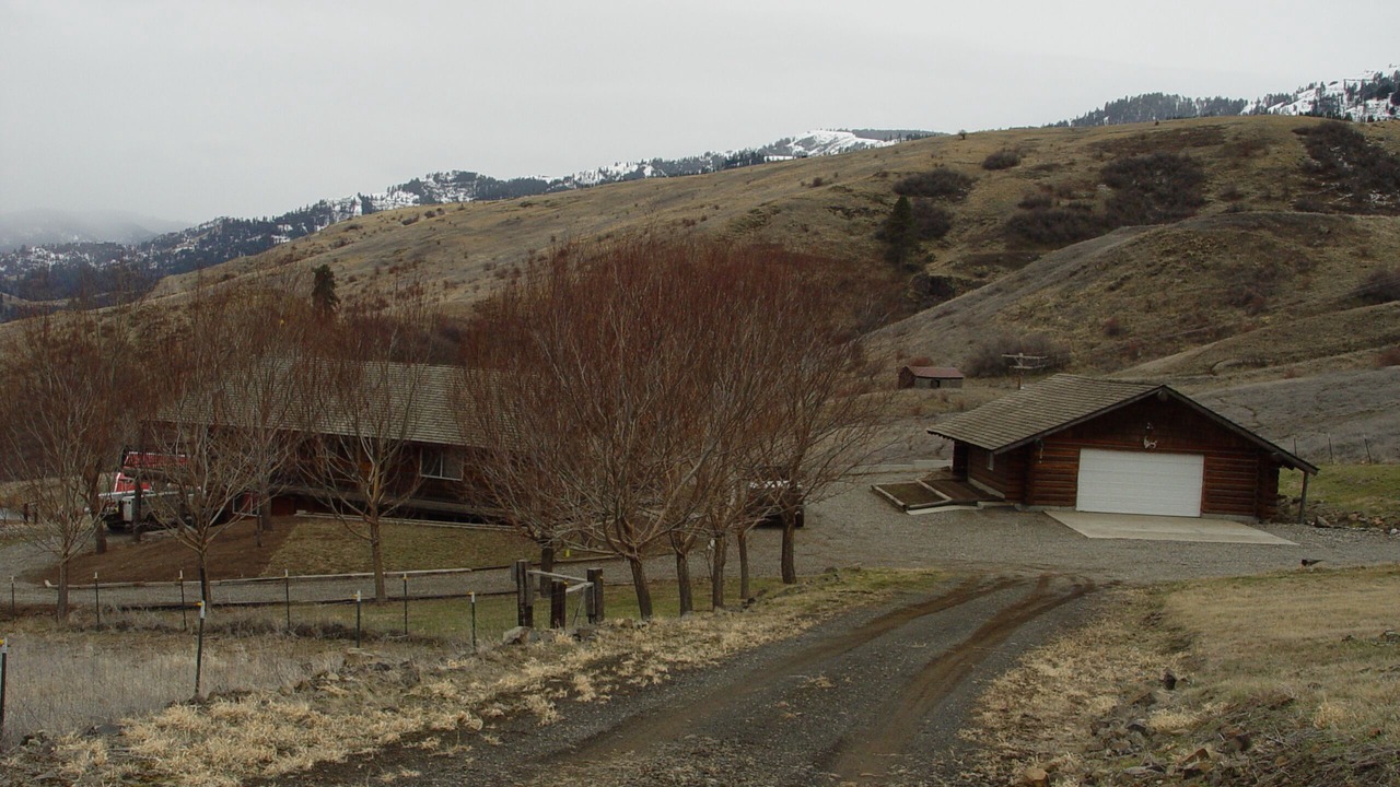 Photo of Outdoor in White Bird