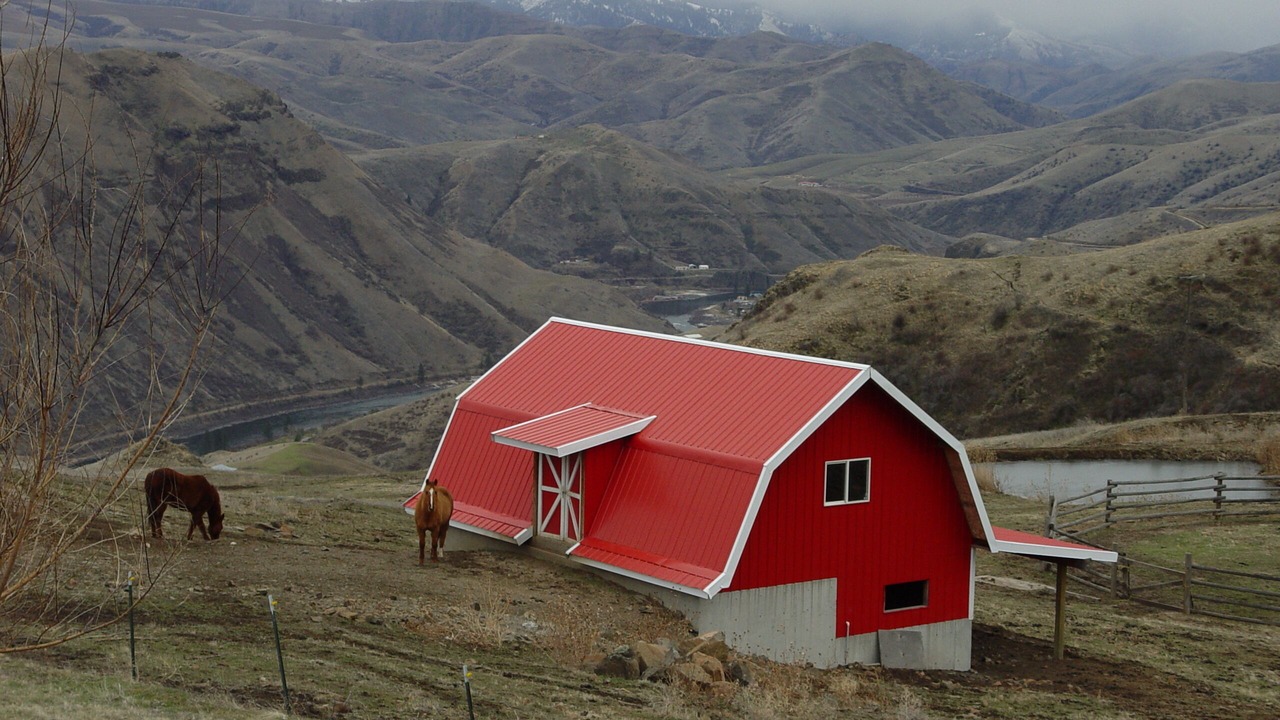 Photo of Outdoor in White Bird